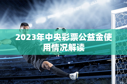 2023年中央彩票公益金使用情况解读